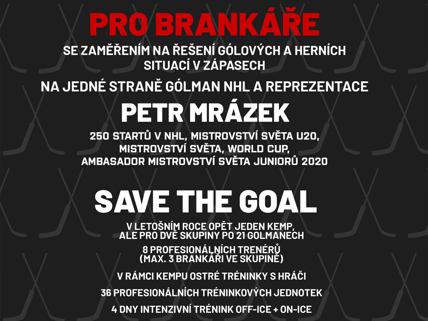 Camp pro brankáře - Goalie Camp 2020